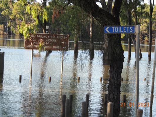 flooded Murray